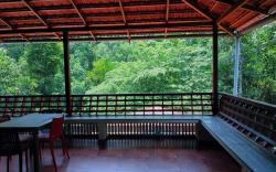 Heights Farm Stay - Coffee Estate Stay