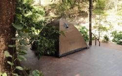 Brown tent