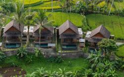 Moonterra Villa Sebatu