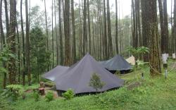 Lembah Pinus Cikole