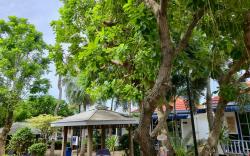 The Light House Resort - Kohlarn