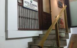 Blueberry Hauz Khas Village