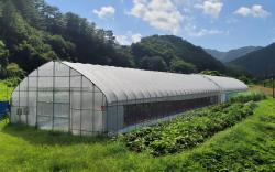 Uljin Wangpicheon Healing Farm