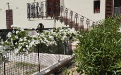 B&B DA GINA SENIGALLIA