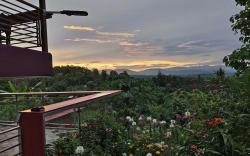 MJ Homestay&Camping 