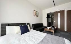 Beautiful 1 BR New Apt City Center for 3 Ppl
