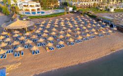Ivy Cyrene Sharm Resort Adults Friendly Plus 13