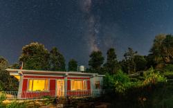 Jungle Kinare - The Sound of Nature by Homeyhuts