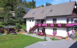 APARTMENTS LAKE BOHINJ MEDJA 