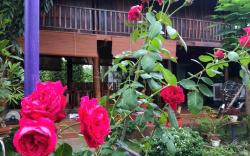 homestay nhà sàn