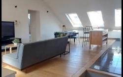 Comf. 2 bedroom Penthouse in city center (6 beds)