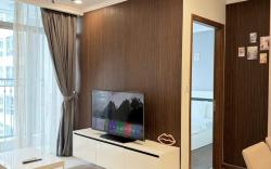 Apt 1br verry nice in Landmark plus building