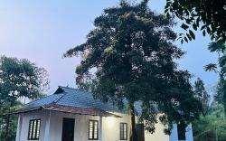 Mountain View room Paithalvillage