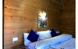 Bluepoppy Resort Auli