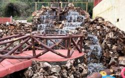 Tiger Club Resort