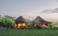 Umadesa Ubud
