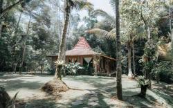 Saridevi Ecolodge