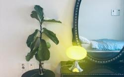 Clean &Comfortable Stay(2)