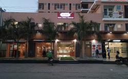 hotel jps palm inn