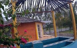 Coral House