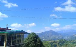 Brijwasi homestay