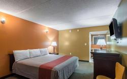Lone star inn 