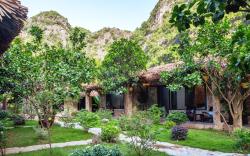 Cozy Beer Garden Homestay