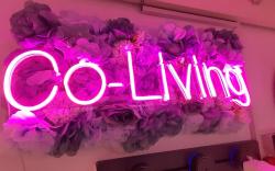 Co.Living Hostel Dubai - near Gold Souq Metro