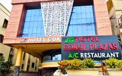Gokul Plaza