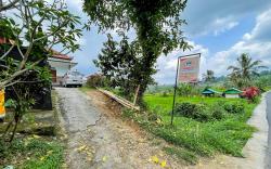 Anish Homestay Jatiluwih Tabanan
