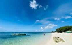 Hibiscus Dive Inn