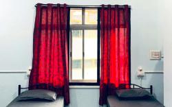 Backstel by Stays 42