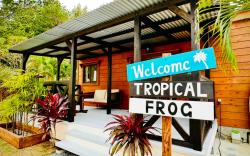 Tropical Frog Private log cabin in onna