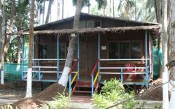  Sanskruti Coco Farm Kolad 