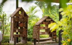 Green Me Organic Farm Stay Khao Yai 