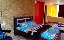 Glass House Kodaikanal Homestays 