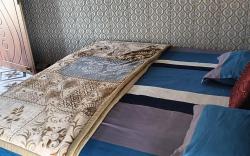 Royal Hill Homestay 