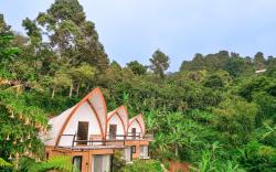 Selayang Olivehill - Kemewahan Glamping di Hutan