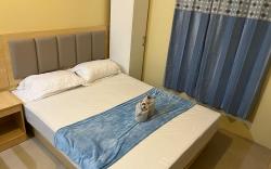 Cebu Avida Riala T2 2520 IT Park