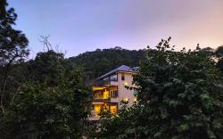 The Hamilton Kasauli