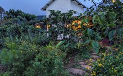 Ivy Coffee Farm - Garden House