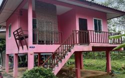 Mimi Home 2