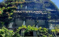 Cactusland Apartment