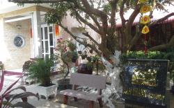 Nam Thanh Homestay