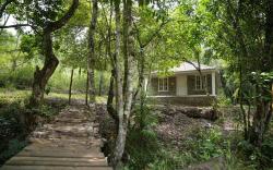 Doctor’s Forest House