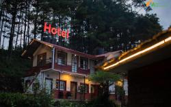 Hotel Mount Paradise
