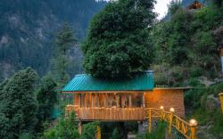 Bastiat Stays| Magnificent Treehouse| Valley View