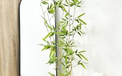 Glorious Staycation in Cavite