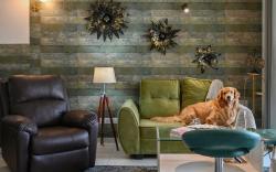 The exotic retreat by Vistara Apartments