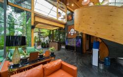 Kasauli Hills Resorts